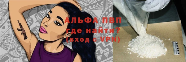 крисы Гусев