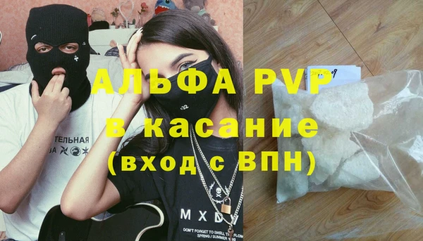 крисы Гусев