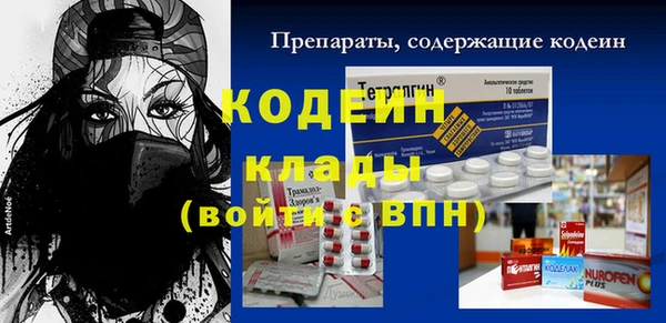 крисы Гусев
