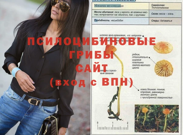 ALPHA-PVP Чегем