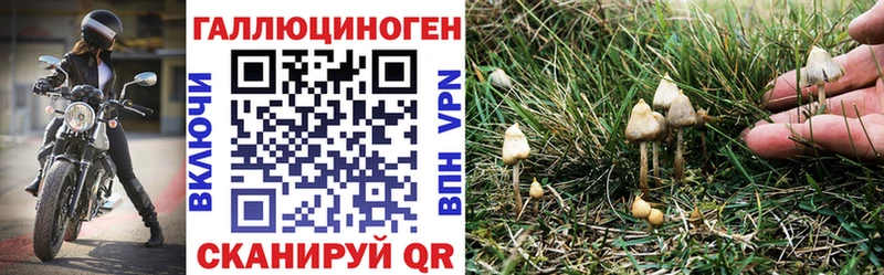 Галлюциногенные грибы ЛСД  Новохопёрск 